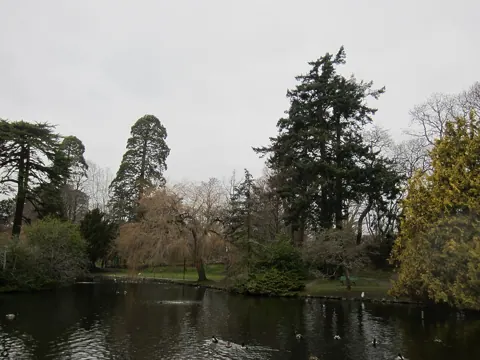 Sample photo taken with this camera