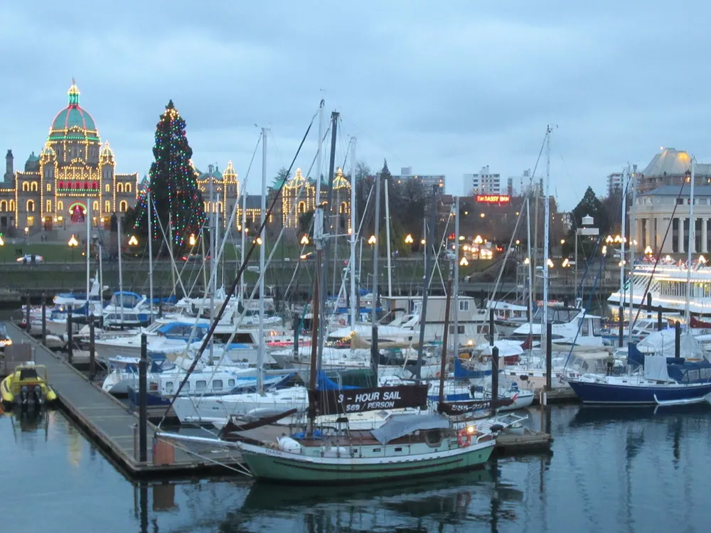 A harbour at dusk with the parliament lit up behind, handheld.