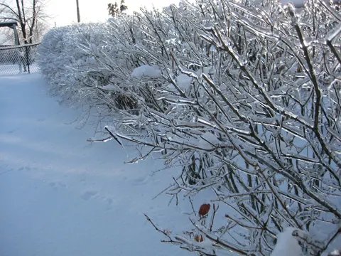Sample photo taken with this camera