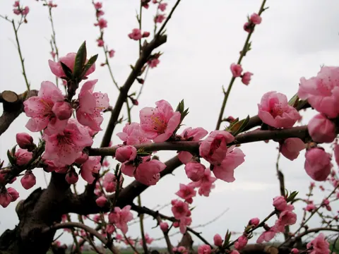 Sample photo taken with this camera