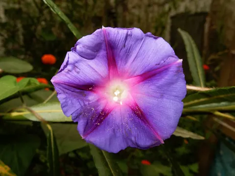 Sample photo taken with this camera