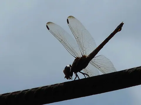 Sample photo taken with this camera