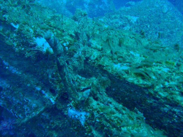A shipwreck beam with a bronze bolt