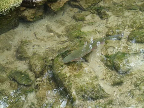 Sample photo taken with this camera
