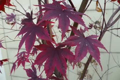 Sample photo taken with this camera