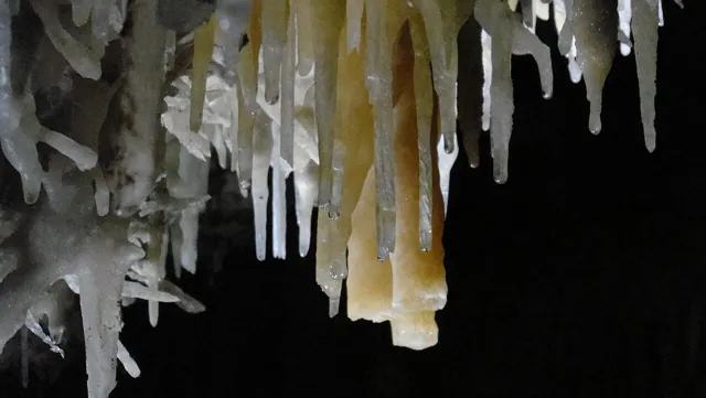 Stalactites in a cave