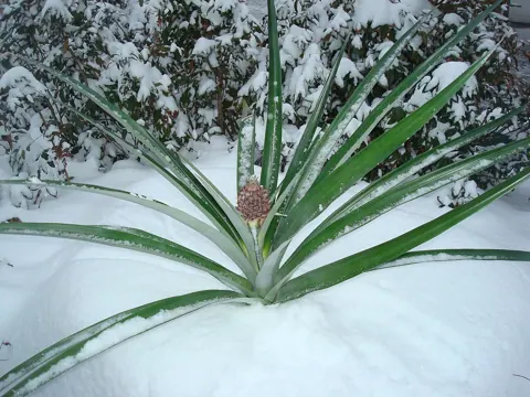 Sample photo taken with this camera