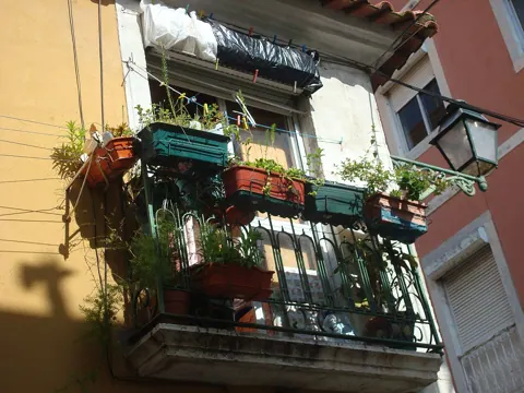 Sample photo taken with this camera